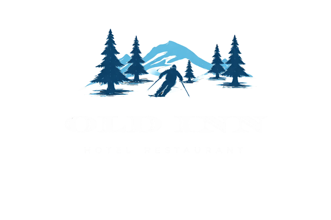 Old Inn Hotel